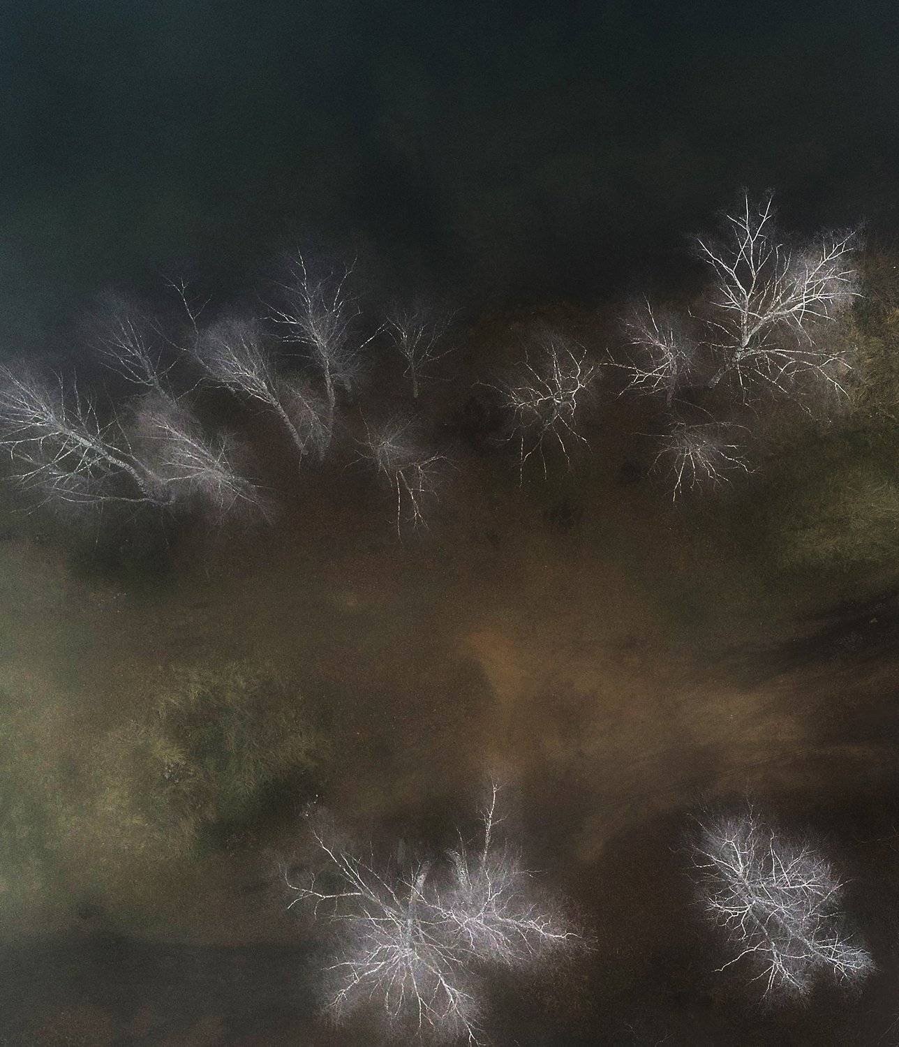 андрей, таничев, стихи.ру, Андрей Таничев