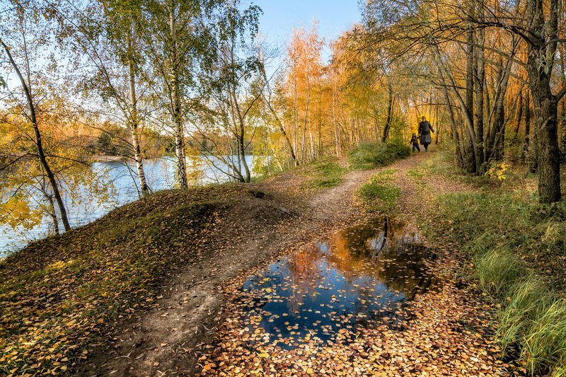 Осень фото превью