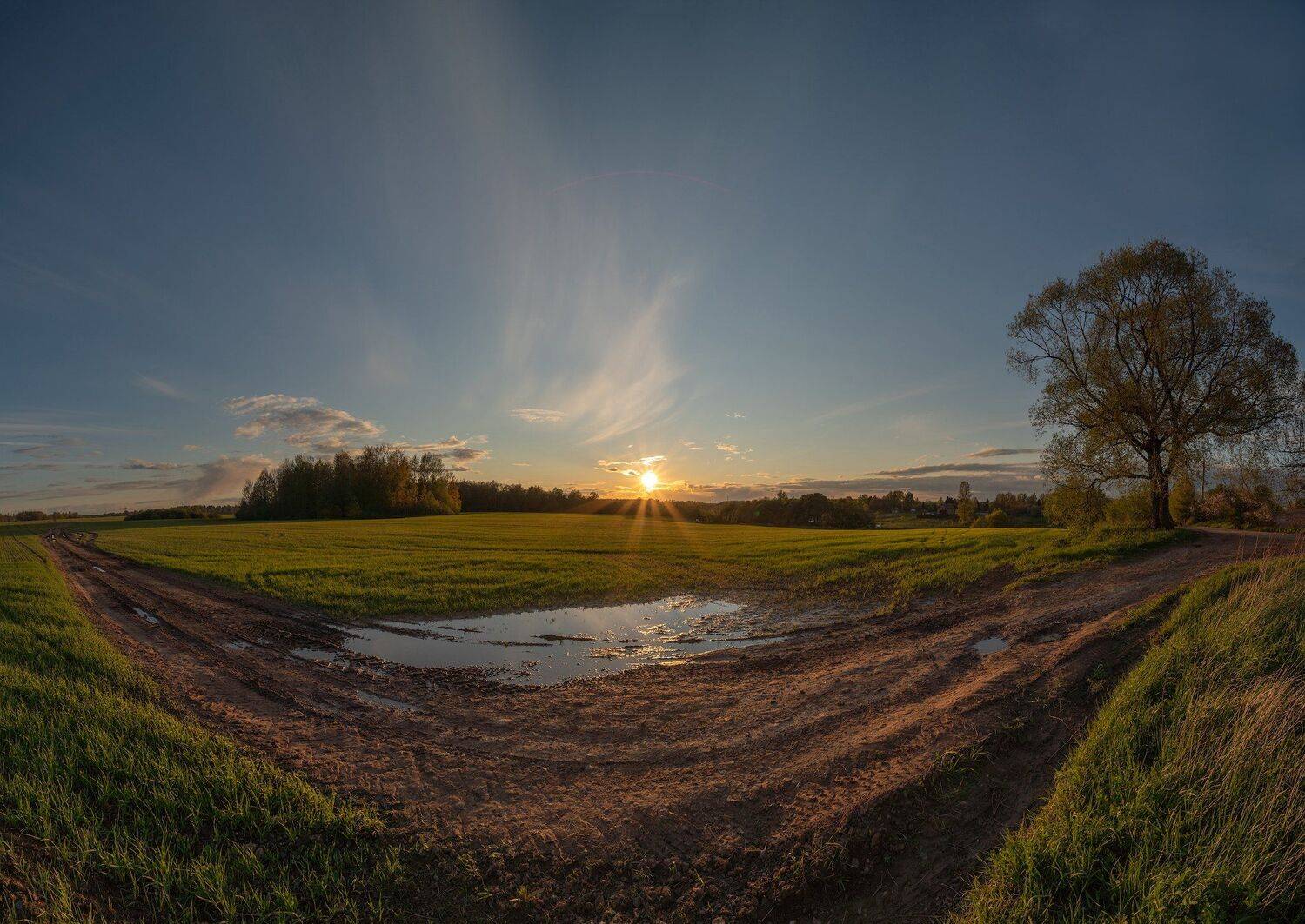 , Константин Дэм