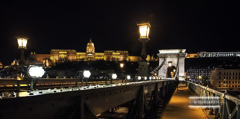 Цепной мост в Будапеште фото превью