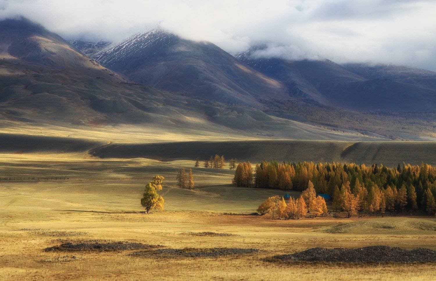 алтай, республика алтай, курай, курайская степь, Галина Хвостенко