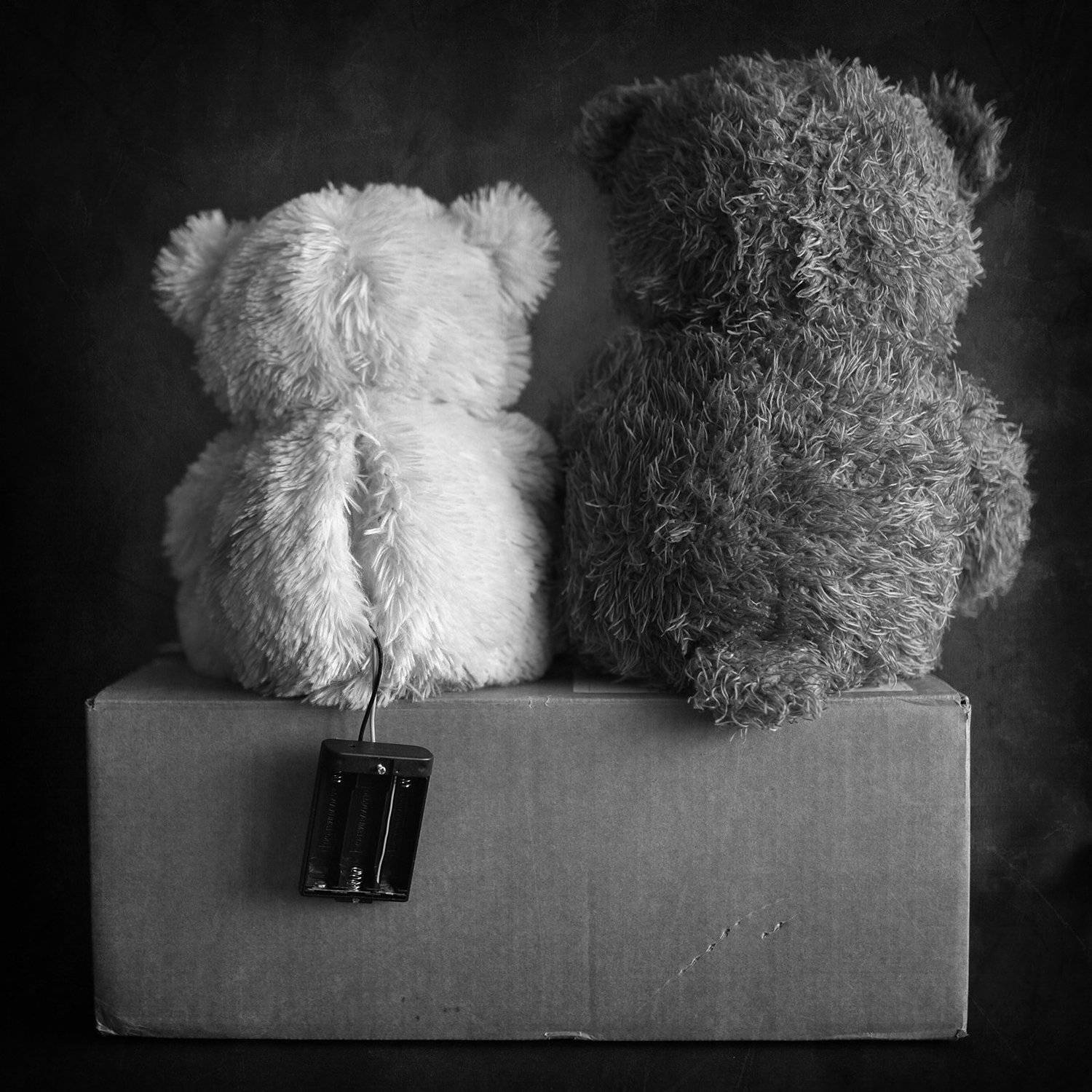 , Осипкин Алексей