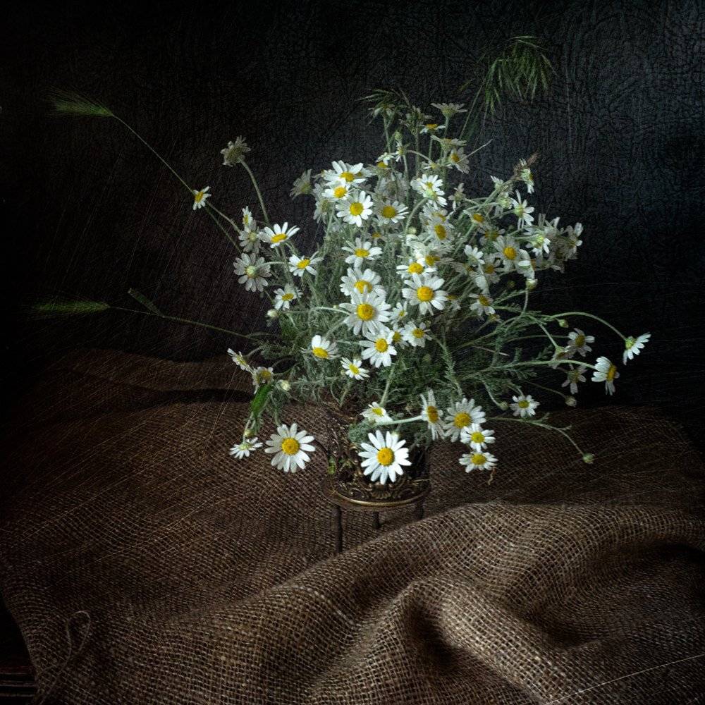 , Татьяна Аверина