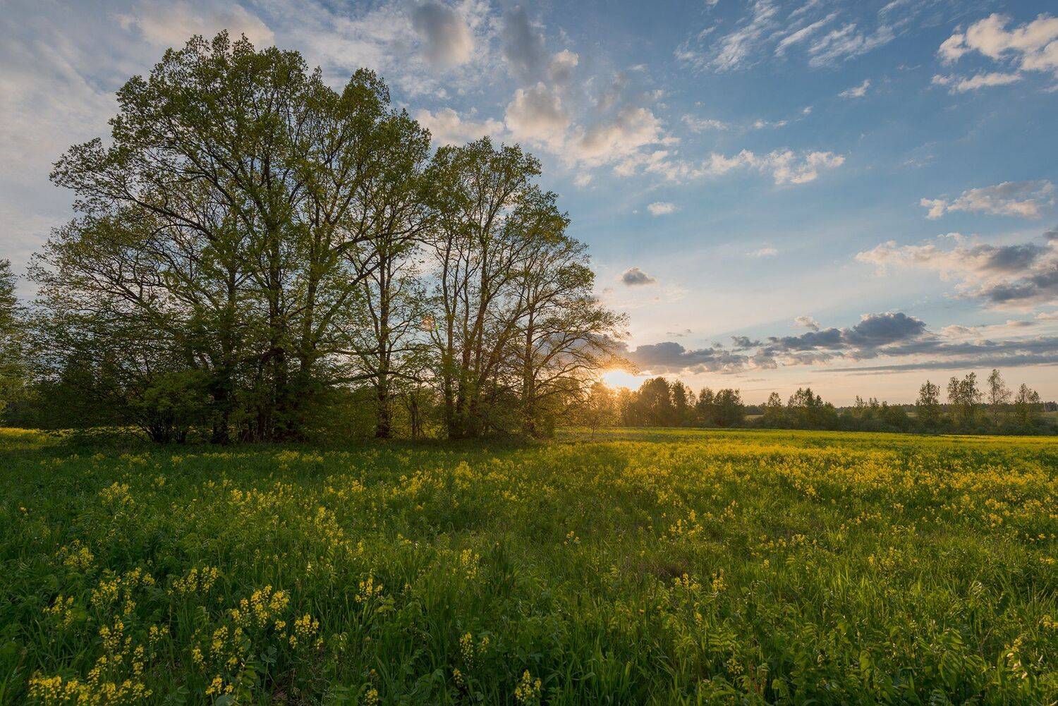 , Борис Леваков