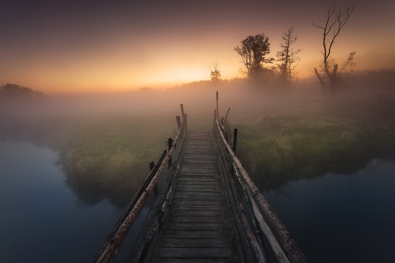 river, fog, tree, sunrise, water, River of the rising Sun фото превью
