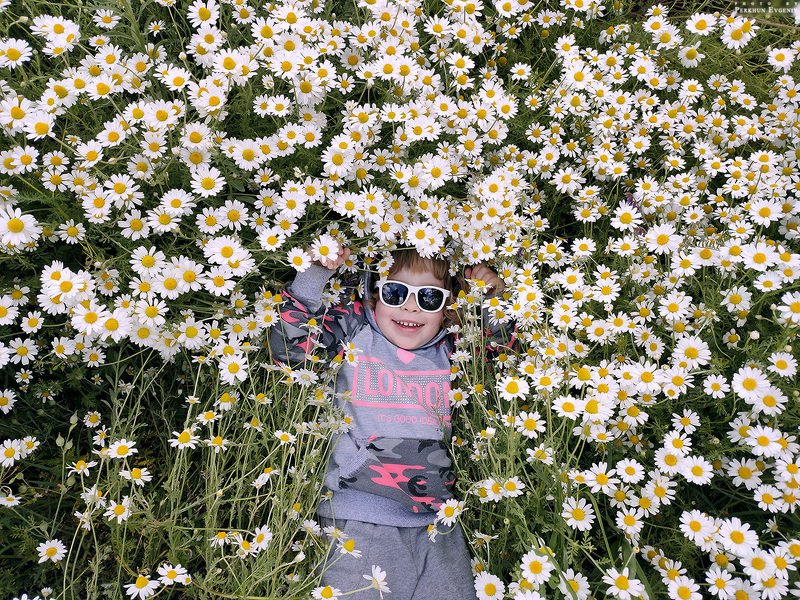 девочка, ромашки, поле, счастье, радость, улыбка, мобильное фото, мобильное Детское счастье фото превью