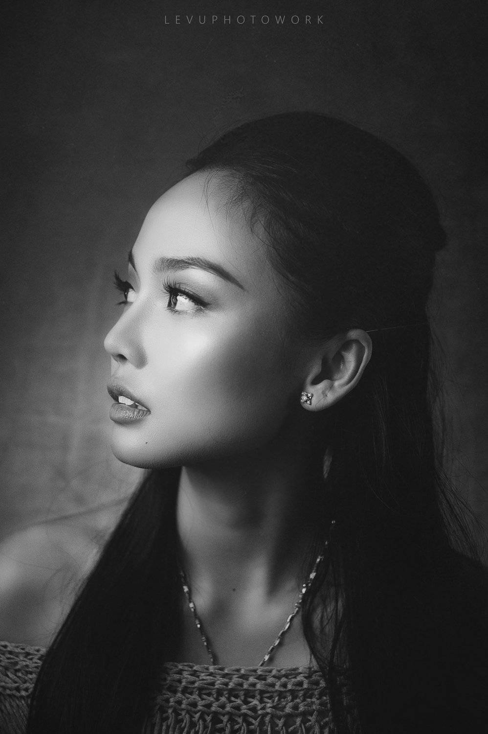 , L&ecirc; Nguyễn Vũ