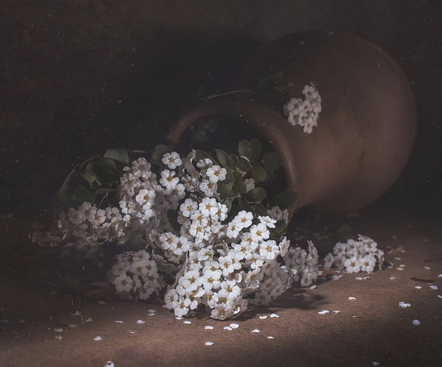 кувшин,кринка,старая,утварь,быт,цветы,деревня, Владимир Володин