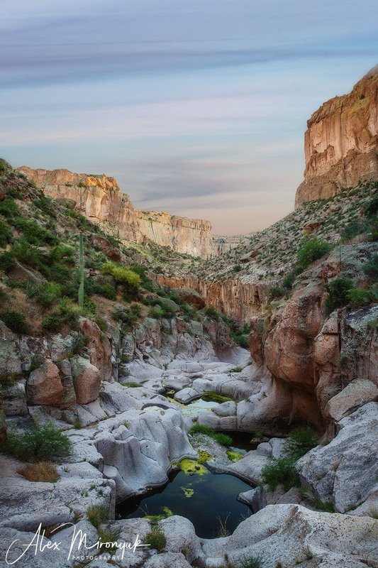 США, Аризона, Фото-тур, каньон, пустыня, лужа, вода, вечер, закат, утро, рассвет Каньоны Юга Аризоны фото превью