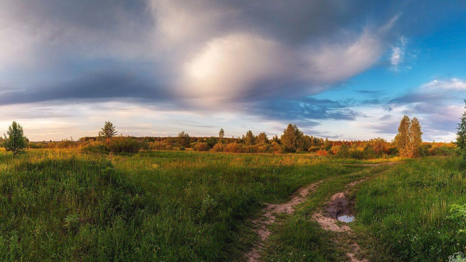 , Сергей Вьюнов