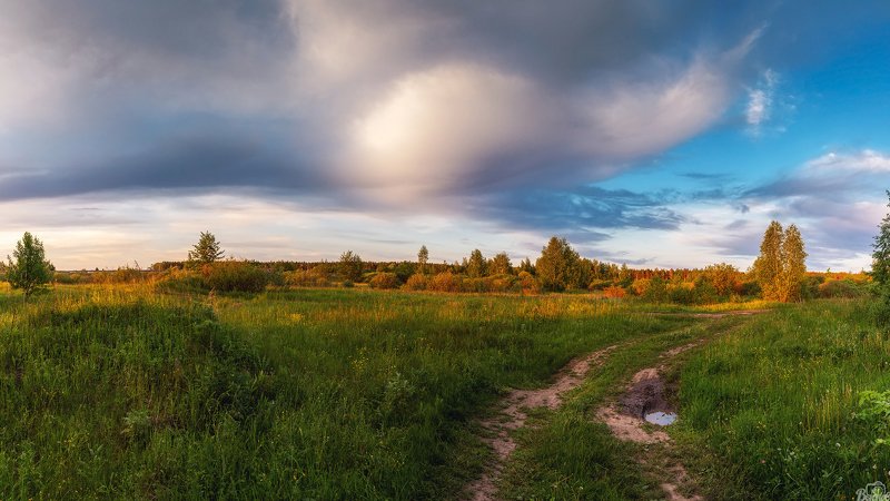 Тёплый майский вечер. И улитка в небе! =) фото превью