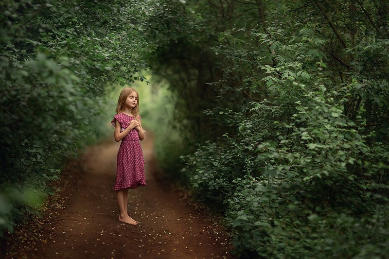 лес девочка арка тропинка Лес фото превью