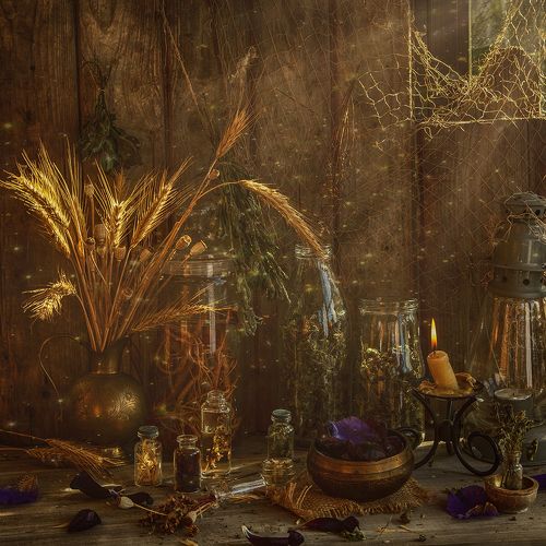 У лесной знахарки