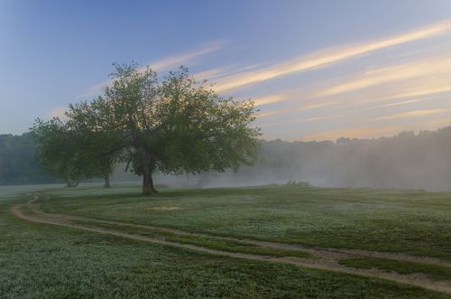 Туманное утро
