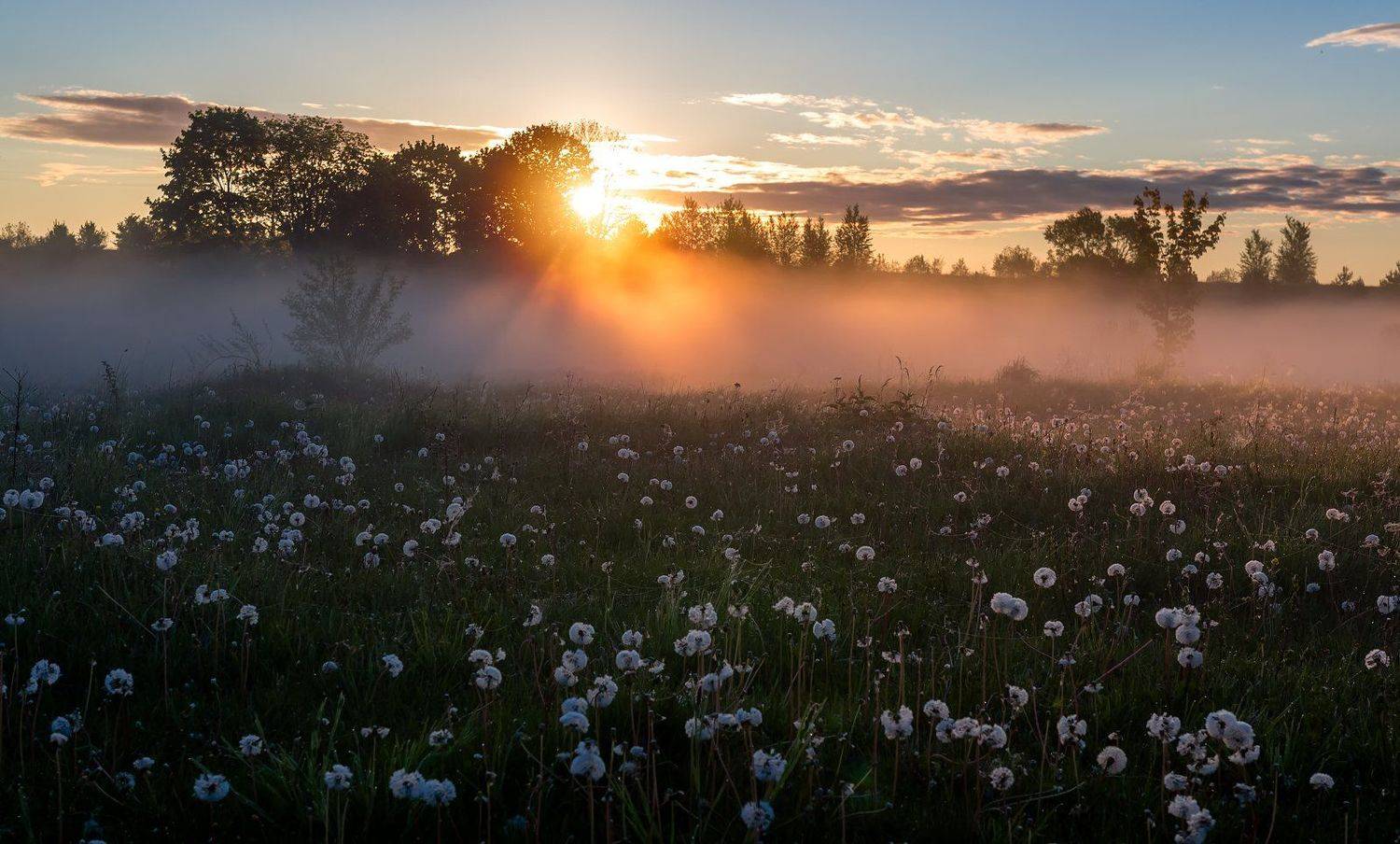 , Руслан Авдевич