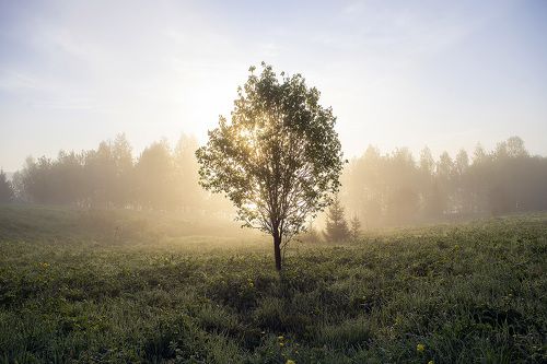 По утренней росе