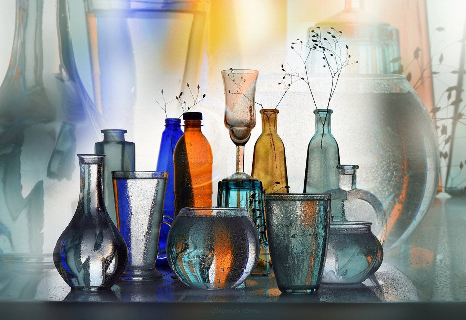 , Шипунова Ирина