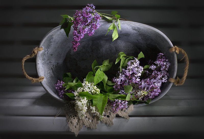 натюрморт, весенние цветы, сирень ... фото превью