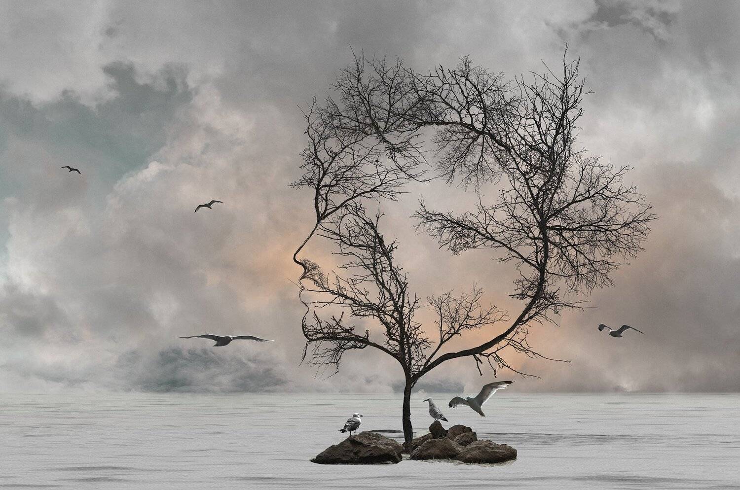 ceclii, Tsvetan Ganev