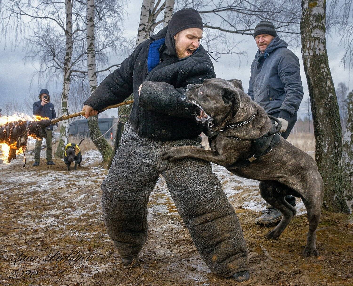 , игорь перфильев