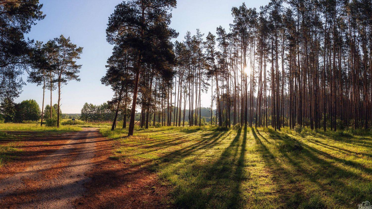 , Сергей Вьюнов