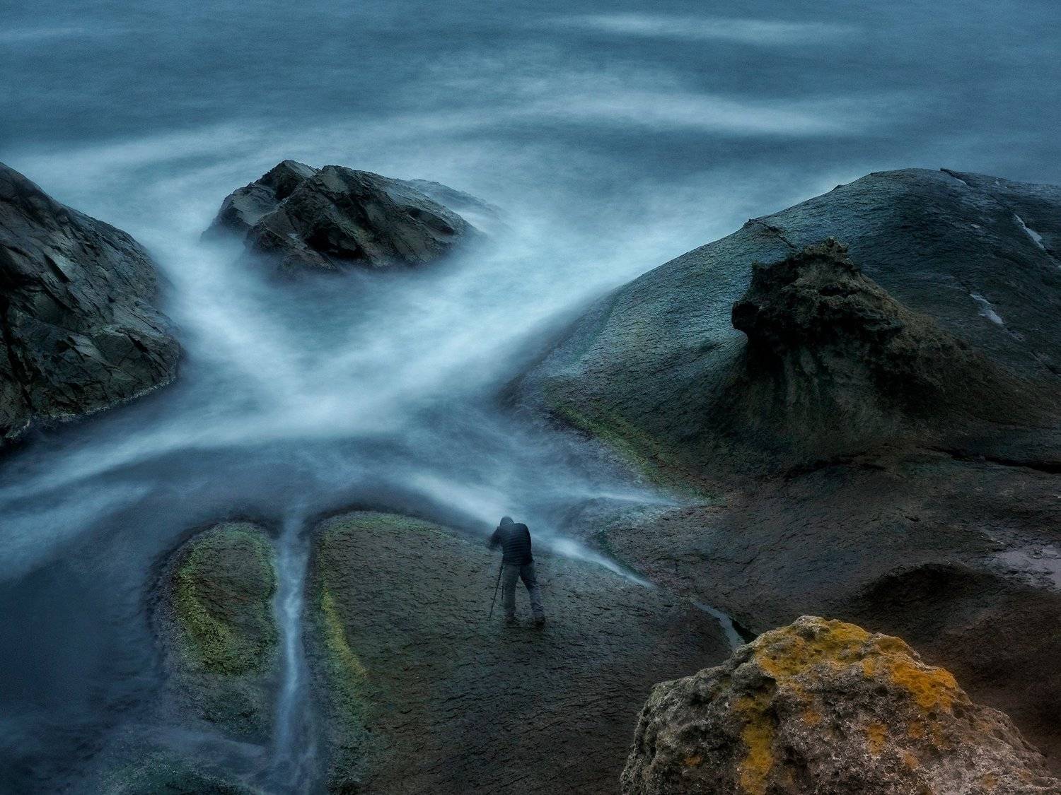 , Светлана Михалкова