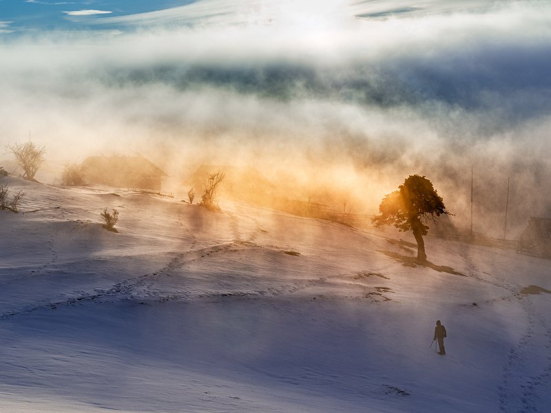 Sunrays фото превью