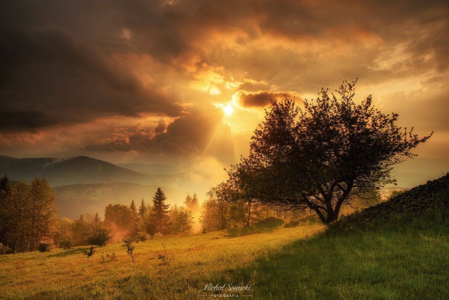 #poland #beskids #storm #clouds #tree #pentax #benro, Michał Sośnicki