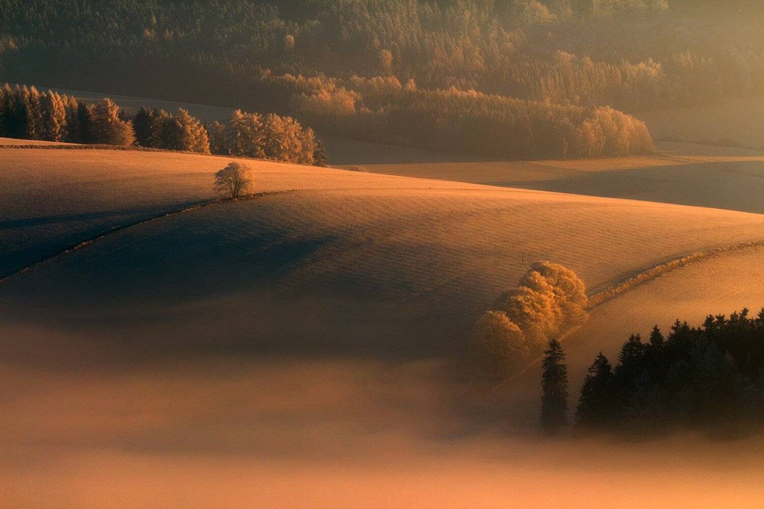 winter,mountains,canon,sunrise, Iza i Darek Mitręga