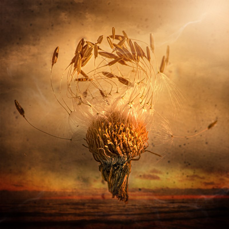 ...летающие желания фото превью