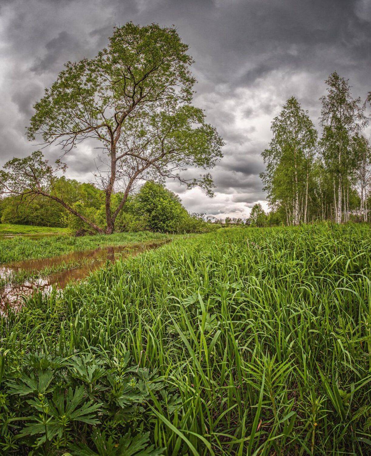 , Николай Андреев