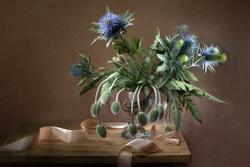 Мак и чертополох фото превью