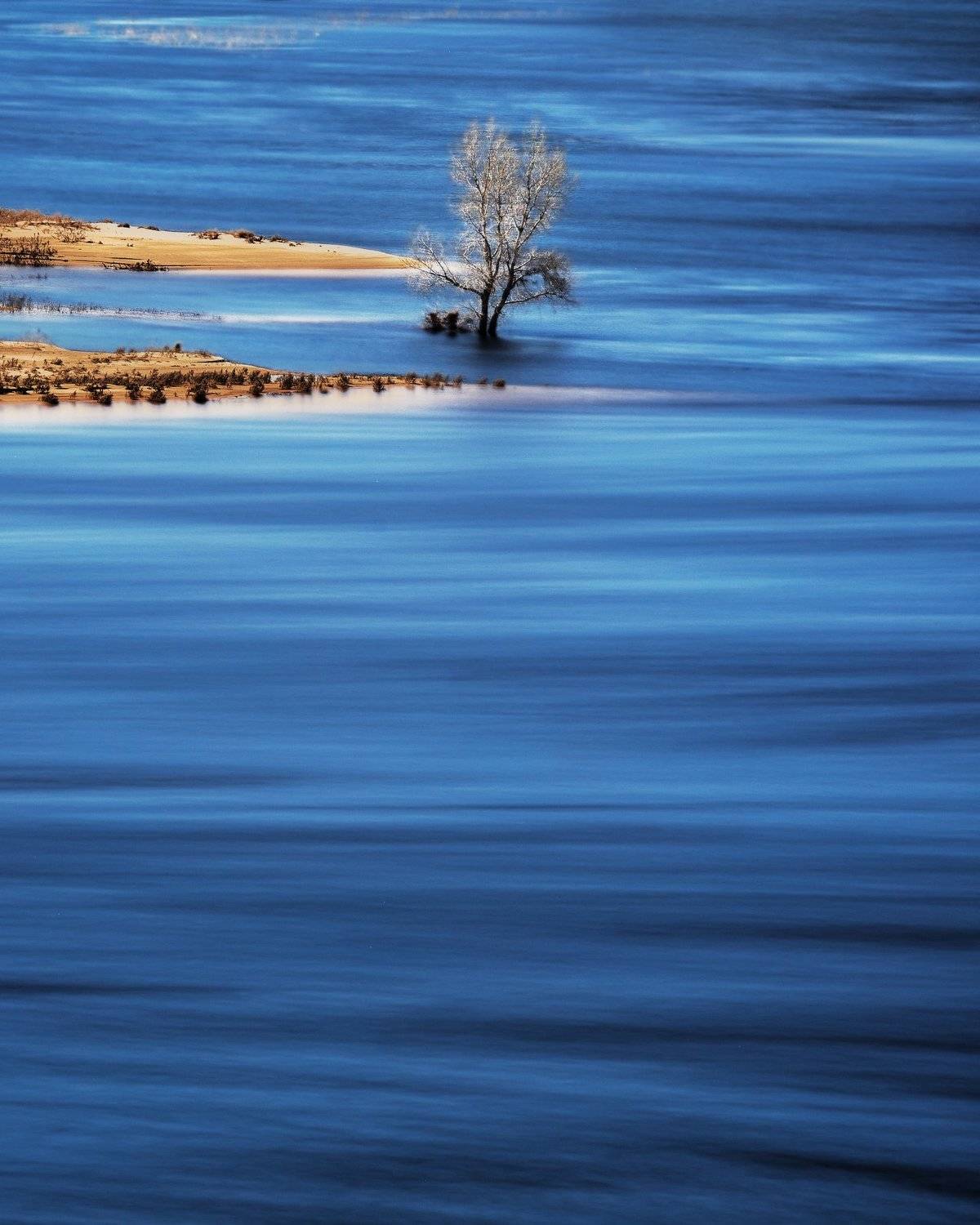 , Попрошаев Сергей