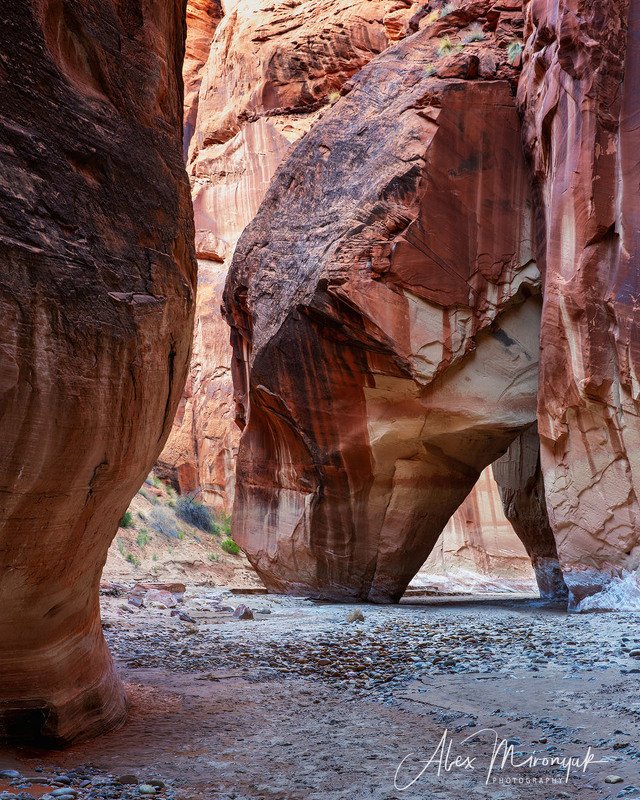 США, Аризона, Юта, каньон, щелевой, слот, пустыня, река, скала, отражение,  Rock Slide Arch фото превью
