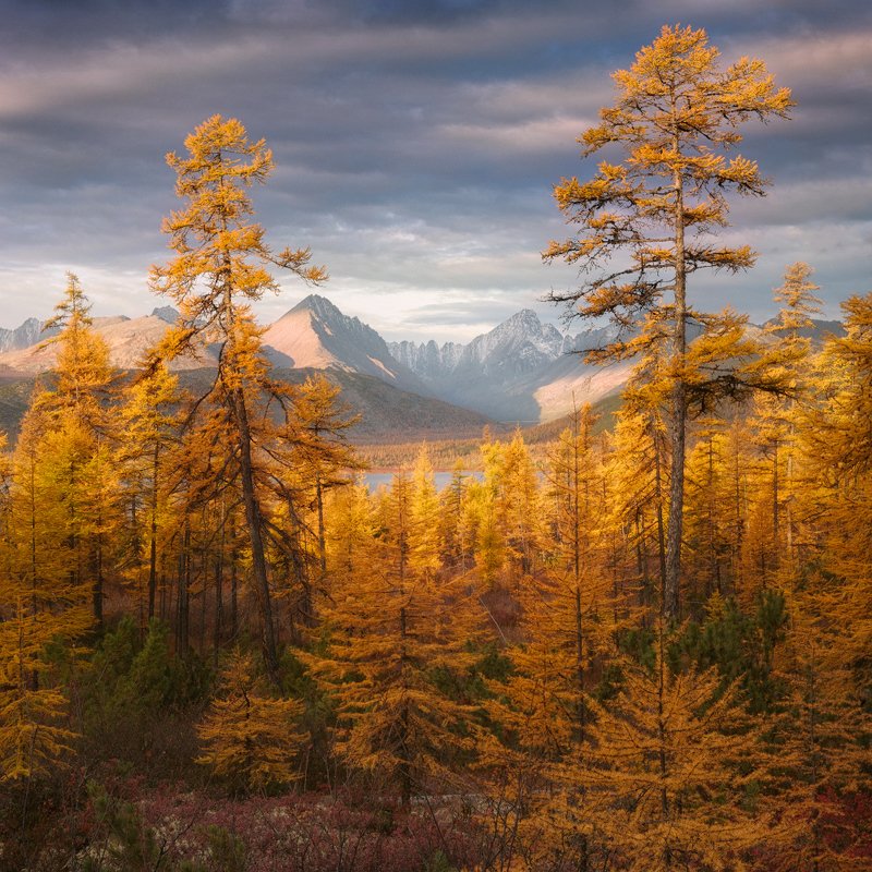 осень, колыма, озеро, горы Золото Колымы фото превью