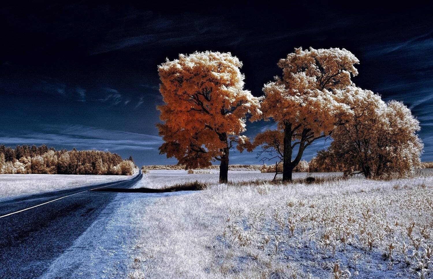 infrared,ик-фото,инфракрасное фото, инфракрасная фотография, пейзаж, лето, Sixten ( Сергей )