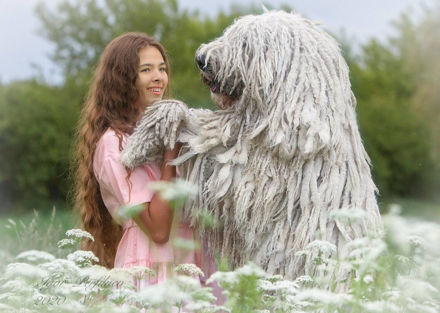 , игорь перфильев