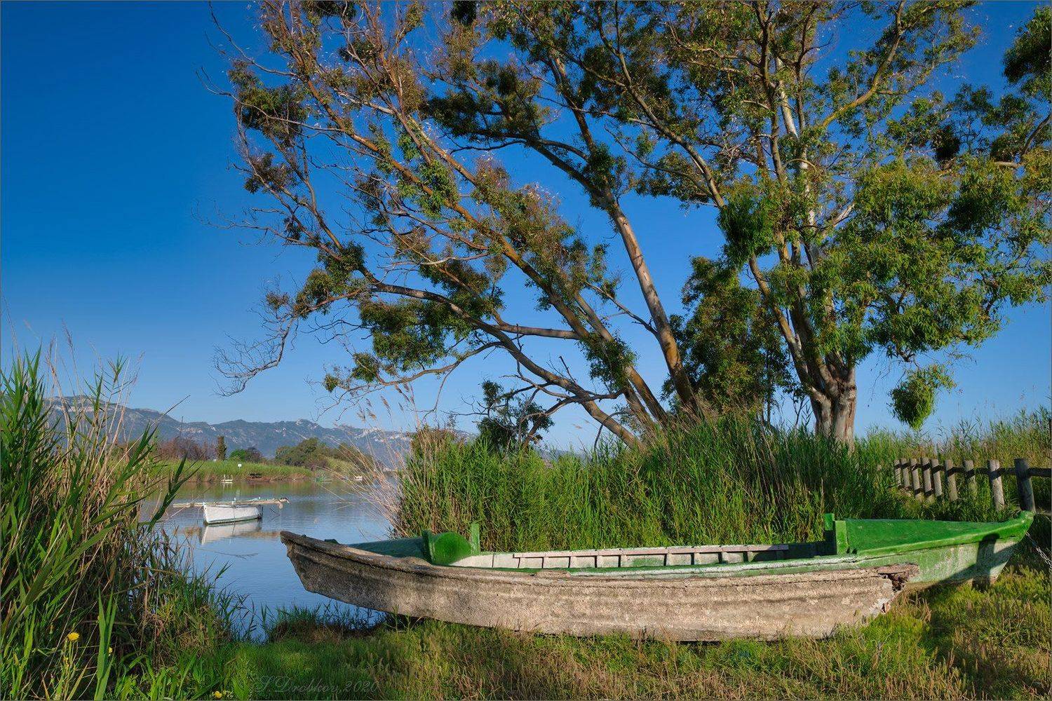 озеро, рассвет, дерево, лодка, Sergey Drobkov