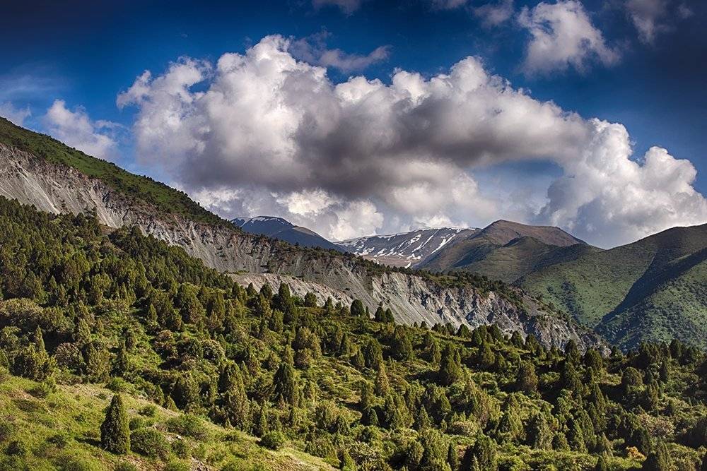 кыргызстан, горы, Элина Магалимова