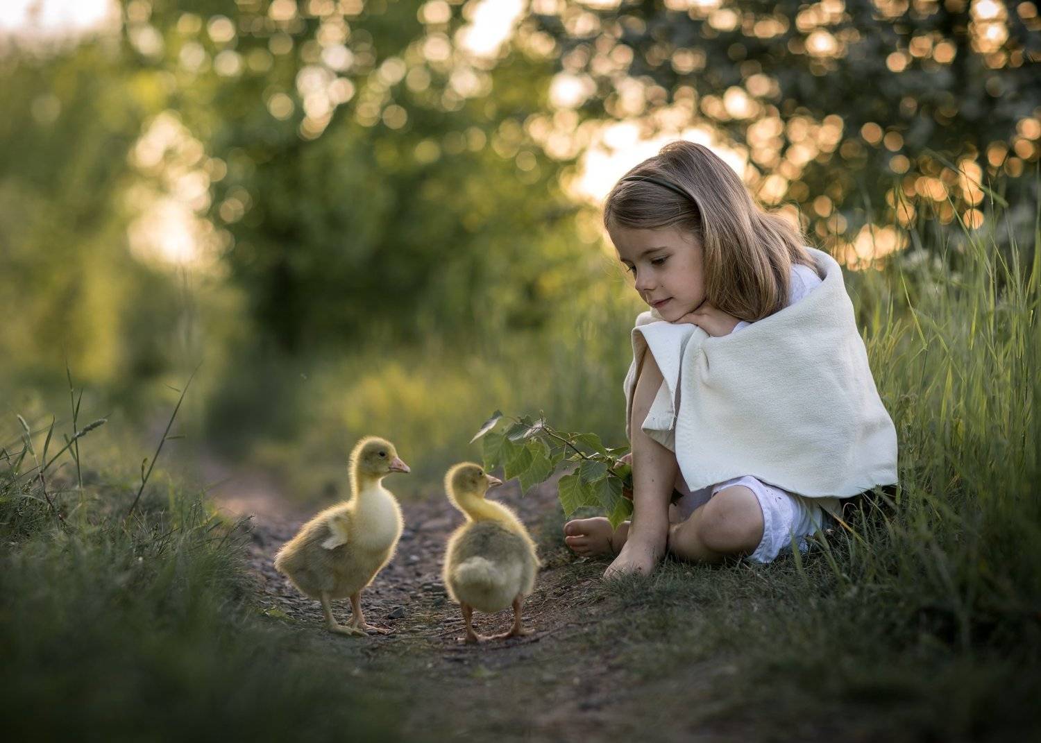 gooseherd goose little girl child cute bokeh dranikowski path magic childhood, Radoslaw Dranikowski