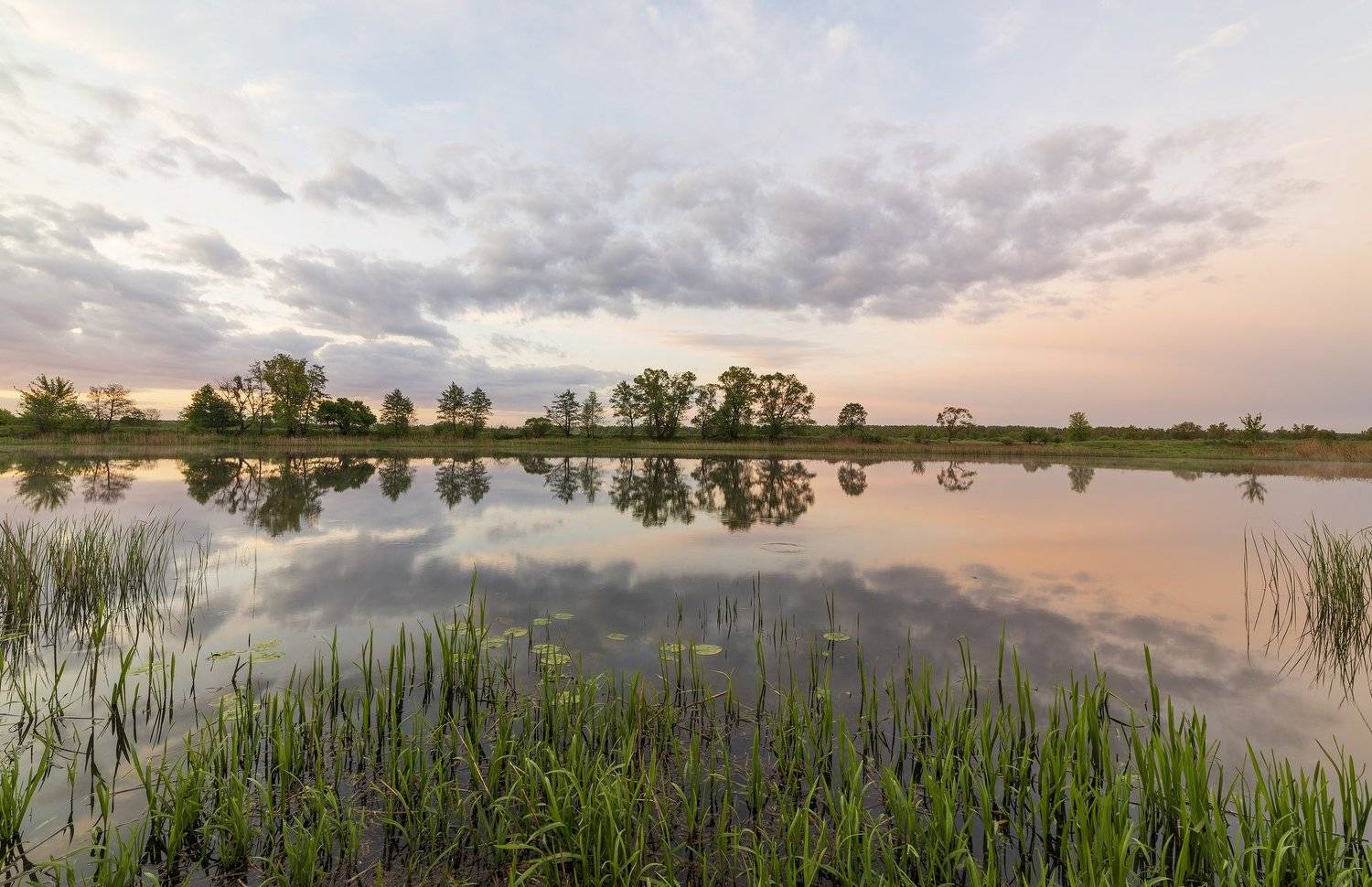 , Дмитрий Новоселов