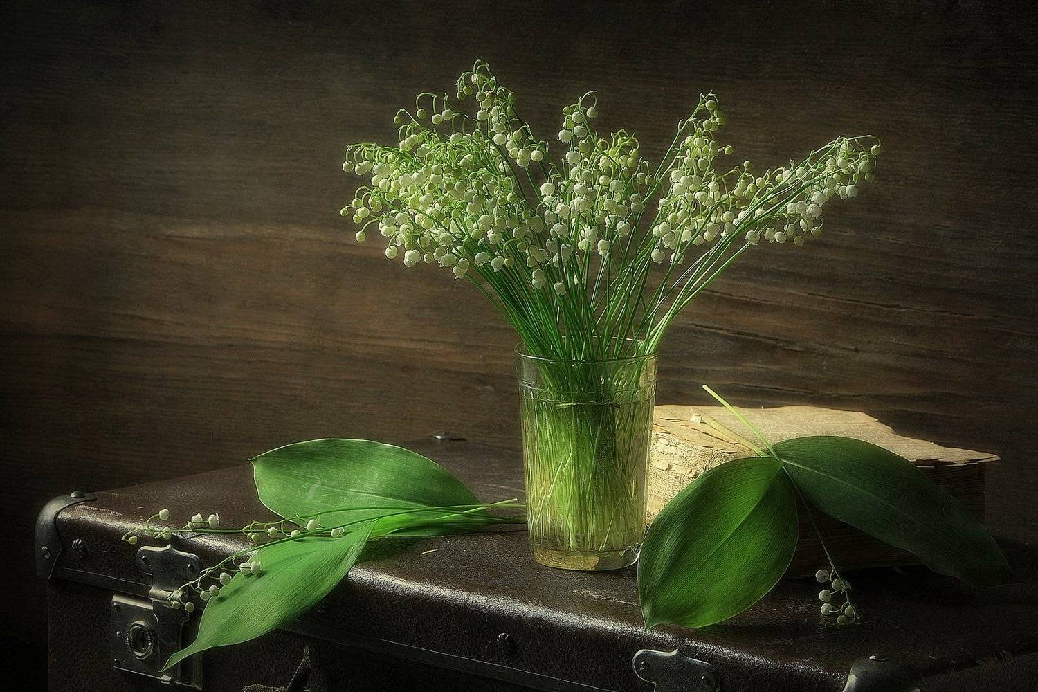 сергей алексеев, натюрморт, Сергей Алексеев