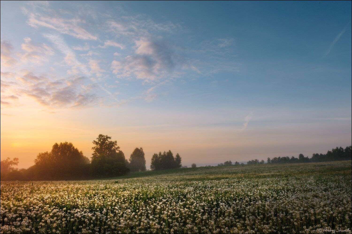 , Андрей Шумилин