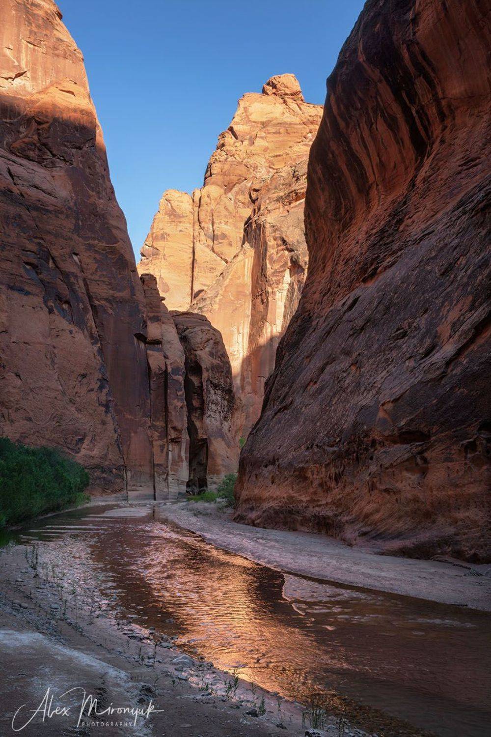 США, Аризона, Юта, каньон, щелевой, слот, пустыня, река, скала, отражение, , Alex Mironyuk