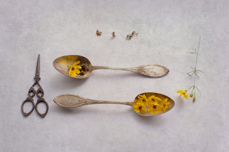 yellow, teaspoon, scisors teatime фото превью