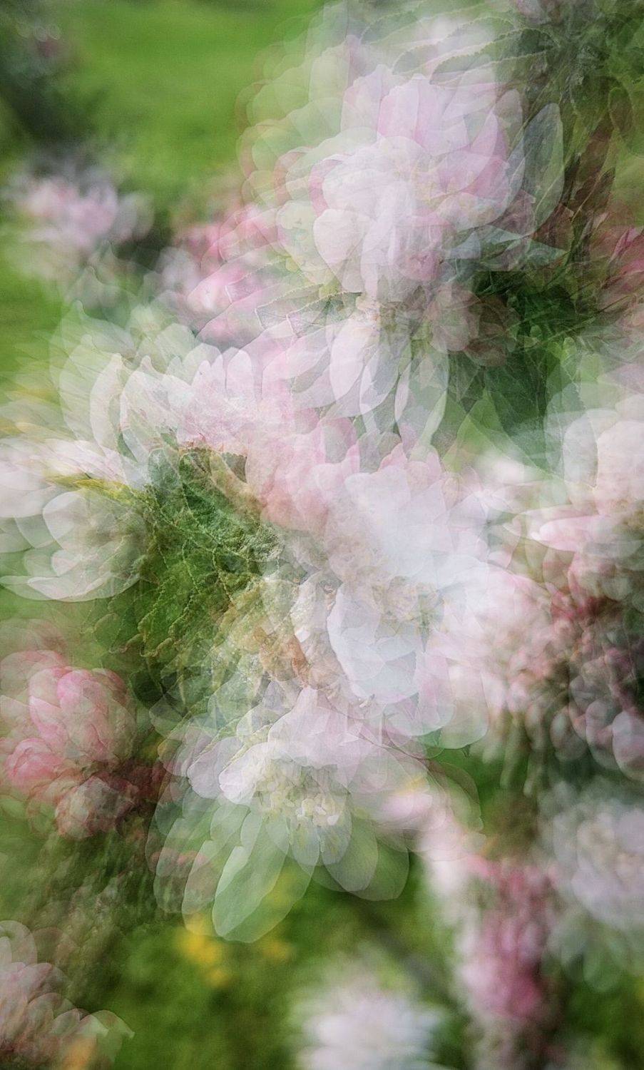 , Зоя Малхова