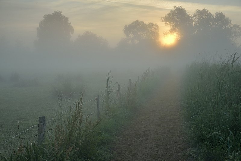 The mysterious morning. фото превью