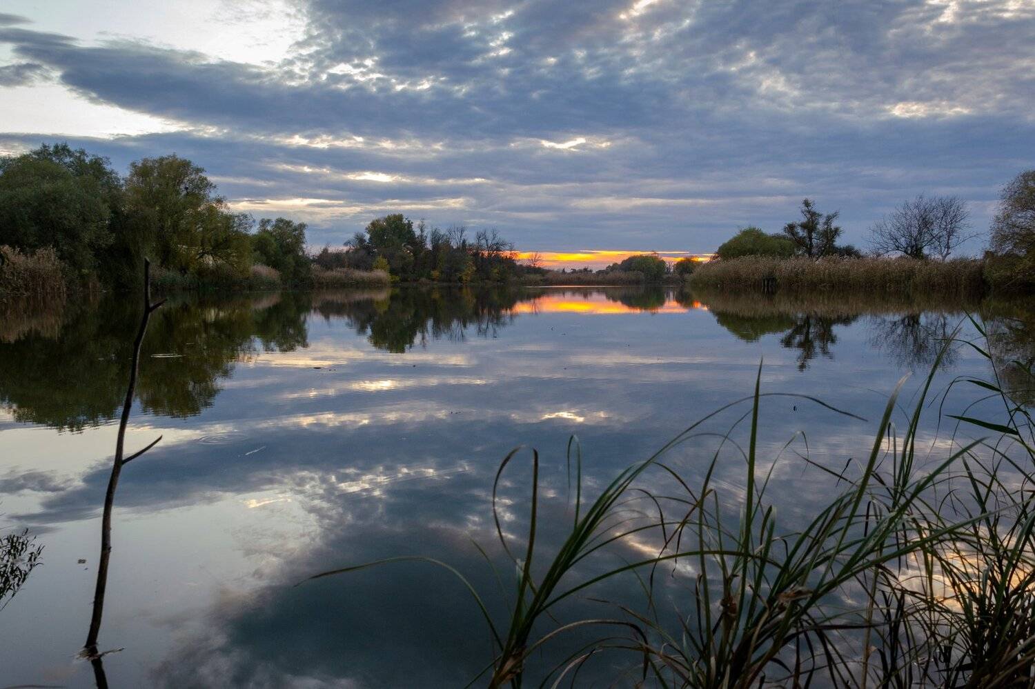 , Алексей Рыльский
