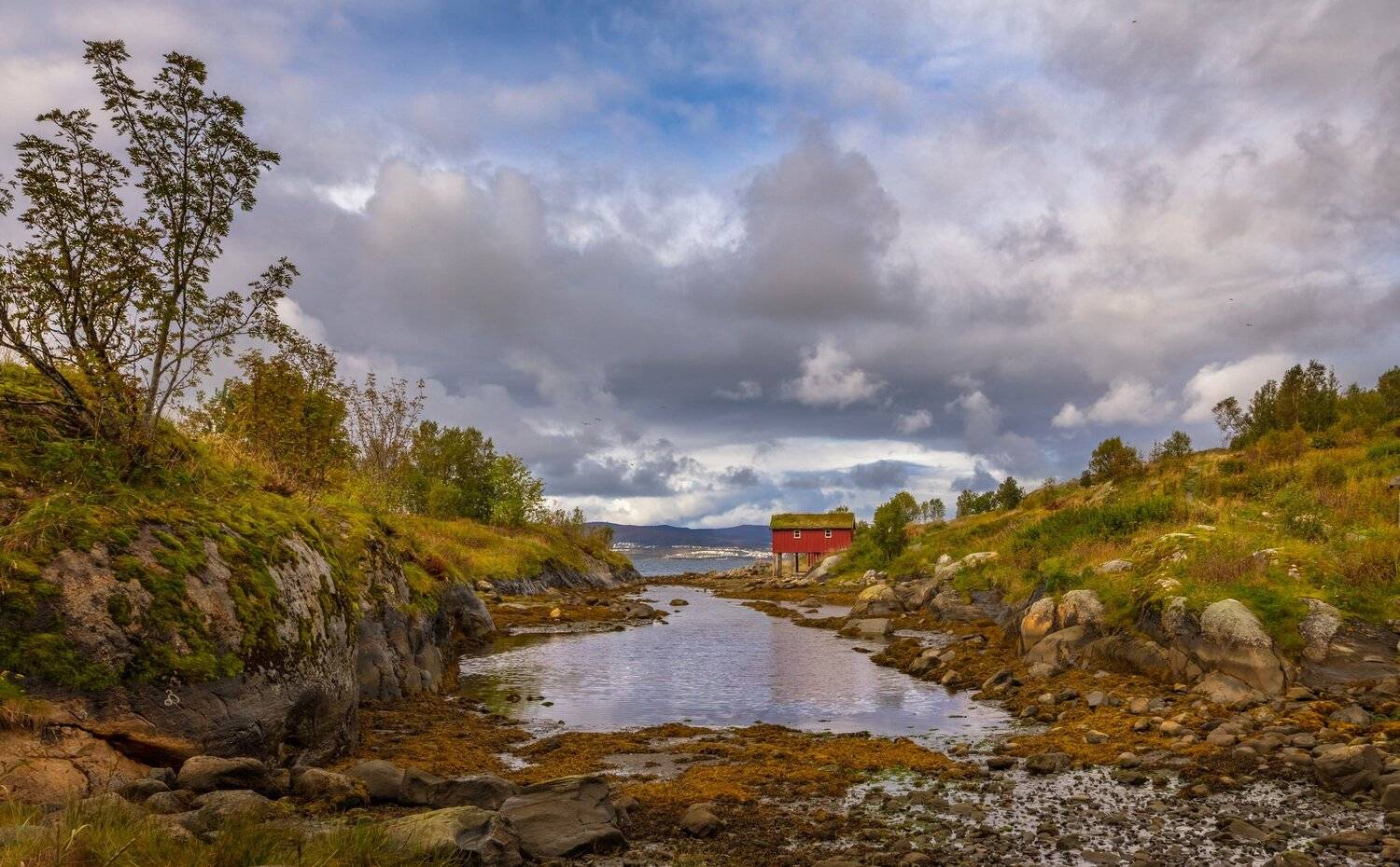 лофотены, норвегия, море, облака, небо, дерево,, Marat Max (Марат Макс)