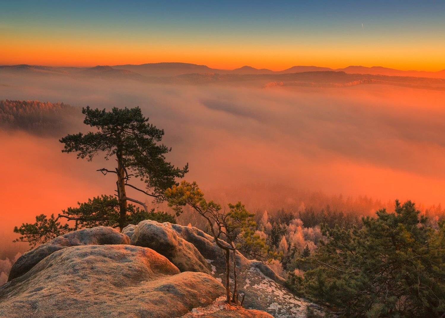 , Iza i Darek Mitręga